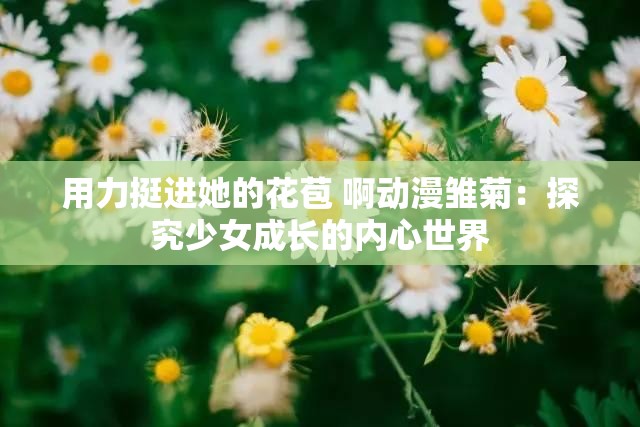用力挺进她的花苞 啊动漫雏菊：探究少女成长的内心世界