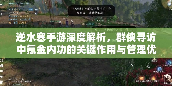 逆水寒手游深度解析，群侠寻访中氪金内功的关键作用与管理优化技巧