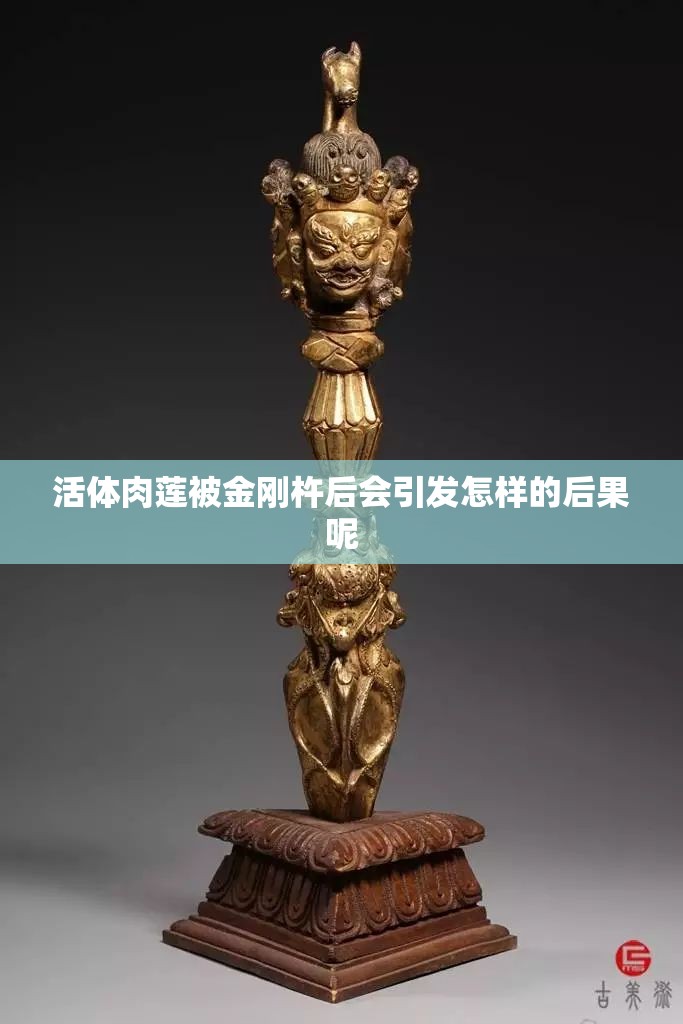 活体肉莲被金刚杵后会引发怎样的后果呢