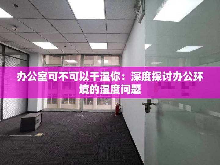 办公室可不可以干湿你：深度探讨办公环境的湿度问题