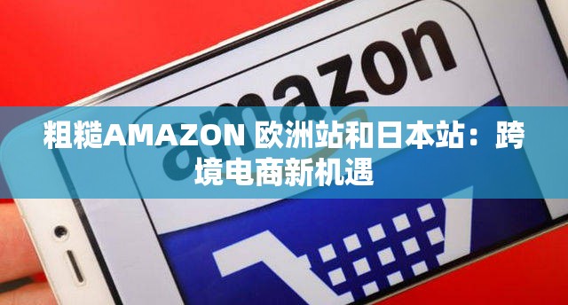 粗糙AMAZON 欧洲站和日本站：跨境电商新机遇