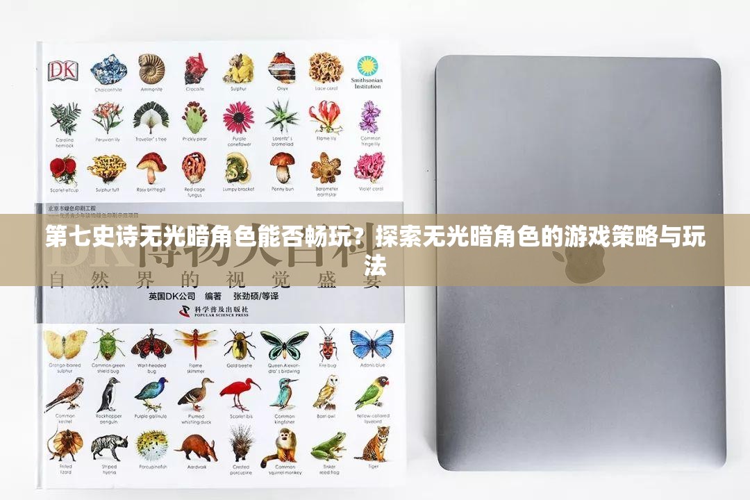 第七史诗无光暗角色能否畅玩？探索无光暗角色的游戏策略与玩法