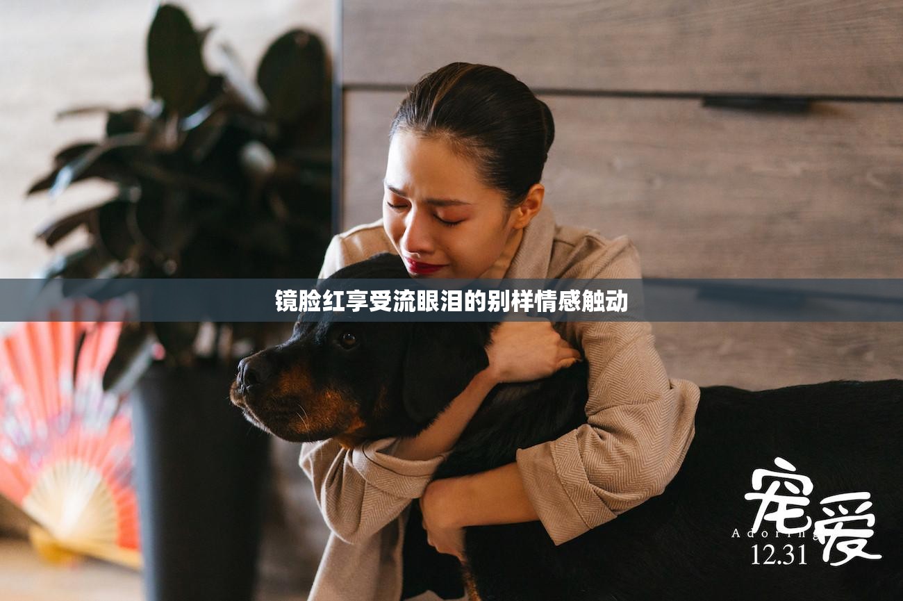 镜脸红享受流眼泪的别样情感触动