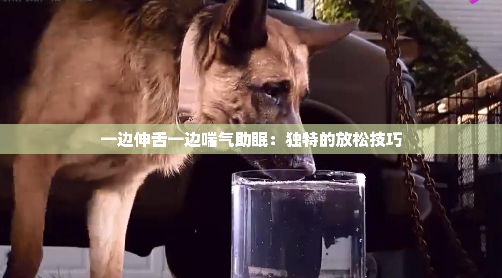 一边伸舌一边喘气助眠：独特的放松技巧