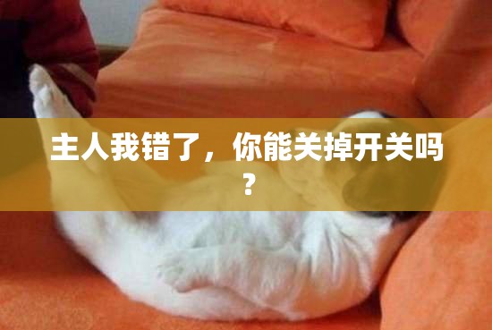 主人我错了，你能关掉开关吗？