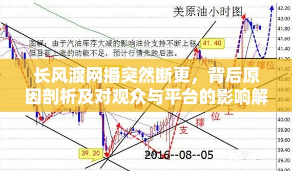 长风渡网播突然断更，背后原因剖析及对观众与平台的影响解析