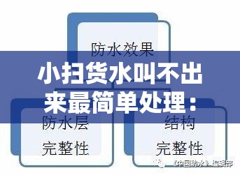 小扫货水叫不出来最简单处理：实用技巧与有效方案分享