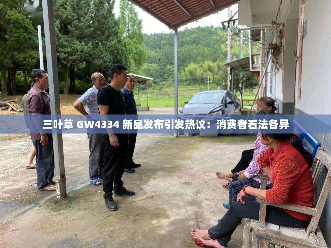 三叶草 GW4334 新品发布引发热议：消费者看法各异