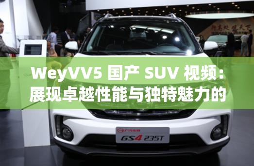 WeyVV5 国产 SUV 视频：展现卓越性能与独特魅力的精彩呈现