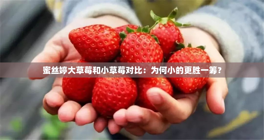 蜜丝婷大草莓和小草莓对比：为何小的更胜一筹？
