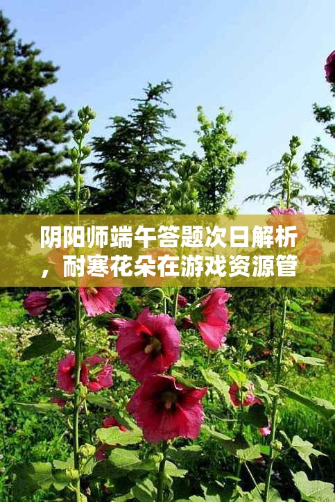 阴阳师端午答题次日解析，耐寒花朵在游戏资源管理与策略中的核心作用