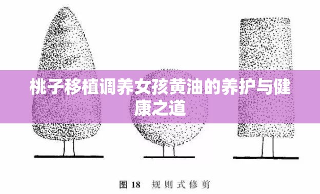 桃子移植调养女孩黄油的养护与健康之道