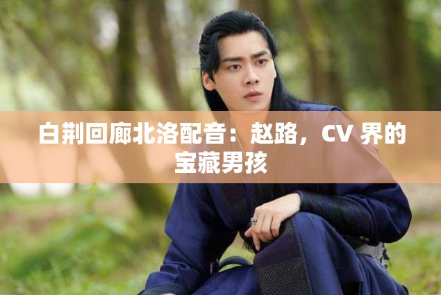 白荆回廊北洛配音：赵路，CV 界的宝藏男孩