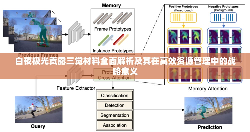 白夜极光贡露三觉材料全面解析及其在高效资源管理中的战略意义
