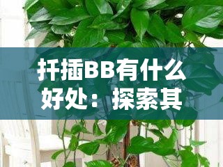 扦插BB有什么好处：探索其在植物繁殖中的重要意义与应用价值