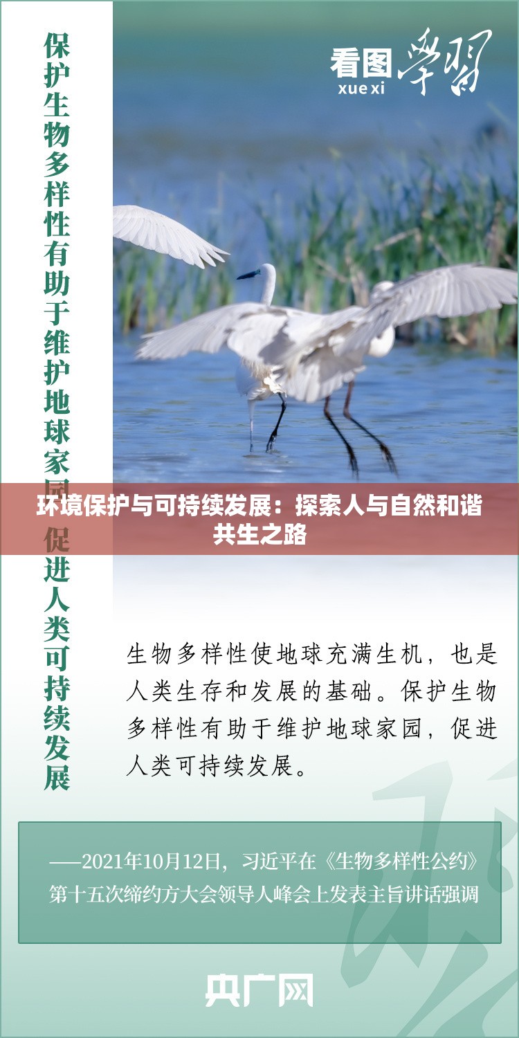 环境保护与可持续发展：探索人与自然和谐共生之路