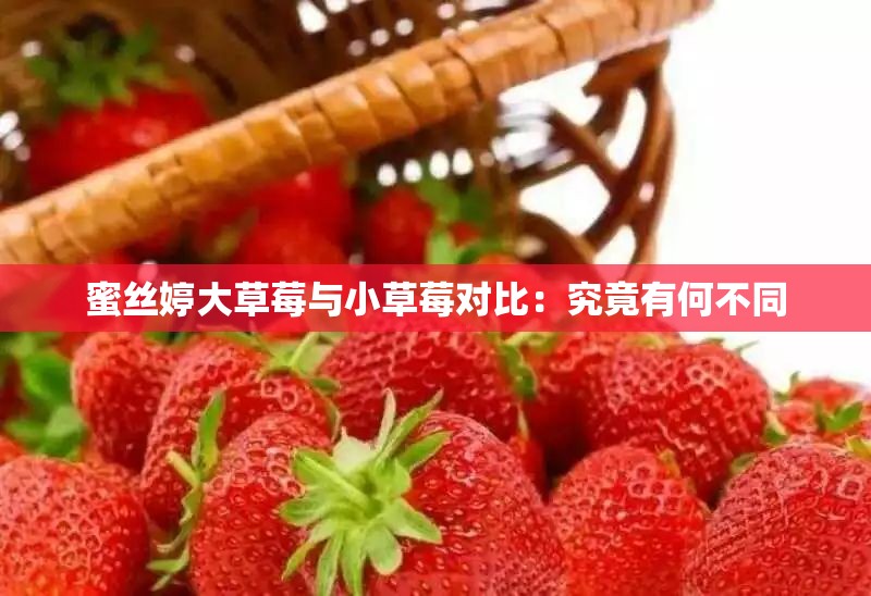 蜜丝婷大草莓与小草莓对比：究竟有何不同