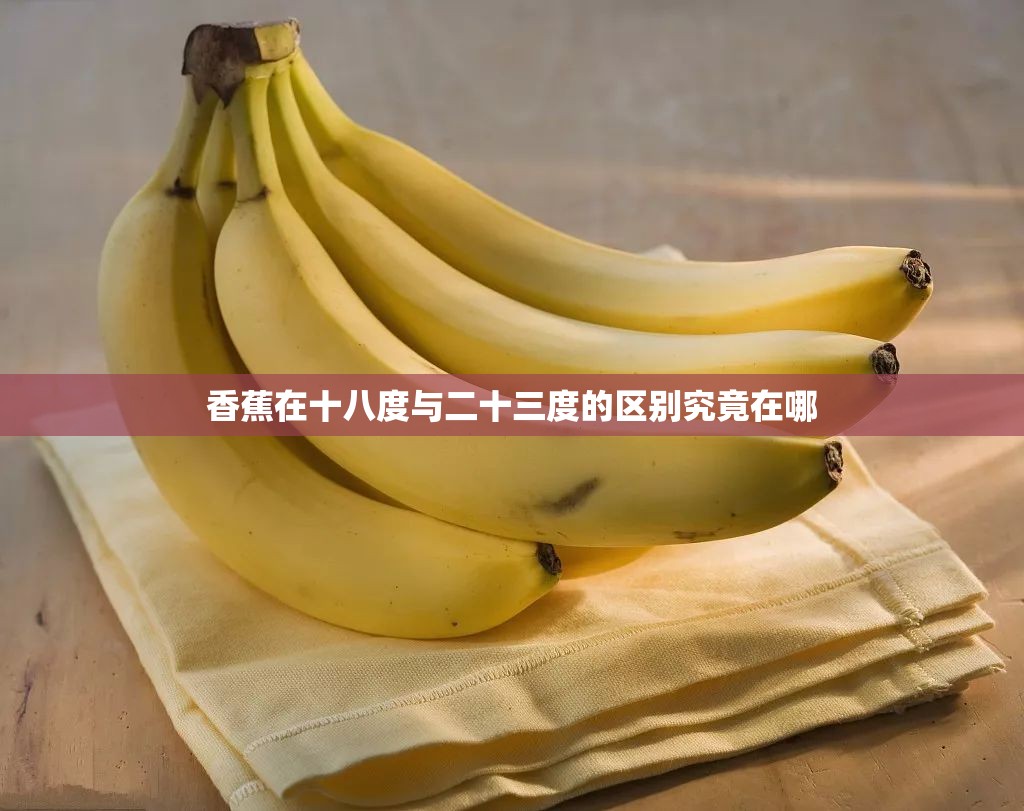 香蕉在十八度与二十三度的区别究竟在哪