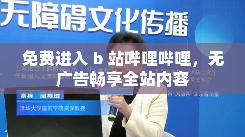免费进入 b 站哔哩哔哩，无广告畅享全站内容