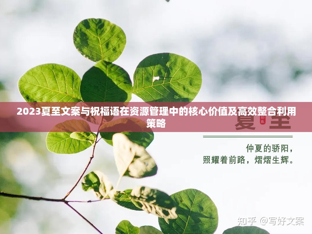 2023夏至文案与祝福语在资源管理中的核心价值及高效整合利用策略