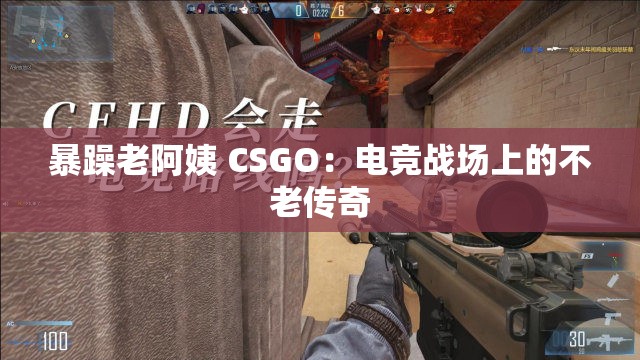 暴躁老阿姨 CSGO：电竞战场上的不老传奇
