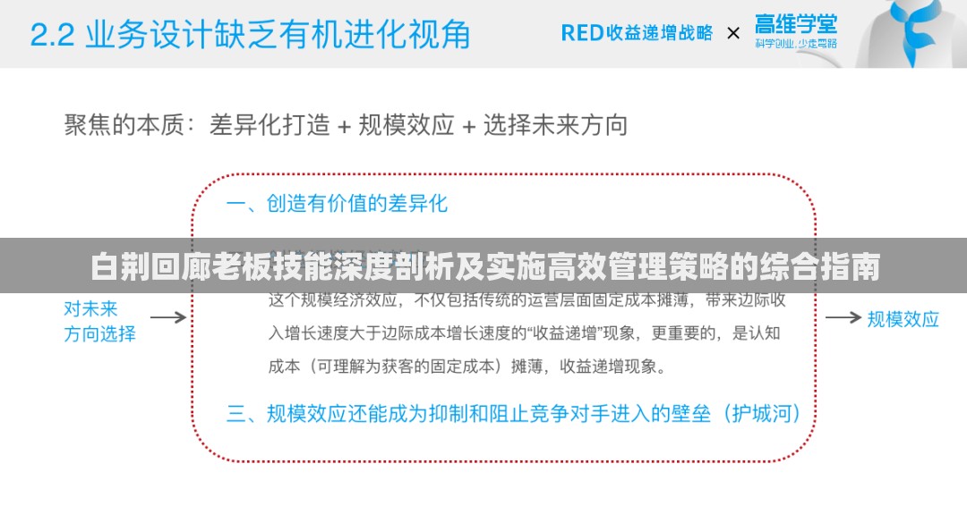 白荆回廊老板技能深度剖析及实施高效管理策略的综合指南