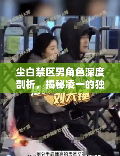 尘白禁区男角色深度剖析，揭秘凌一的独特魅力，为何他成为你的首选角色