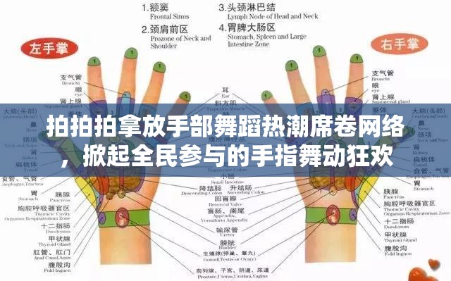 拍拍拍拿放手部舞蹈热潮席卷网络，掀起全民参与的手指舞动狂欢
