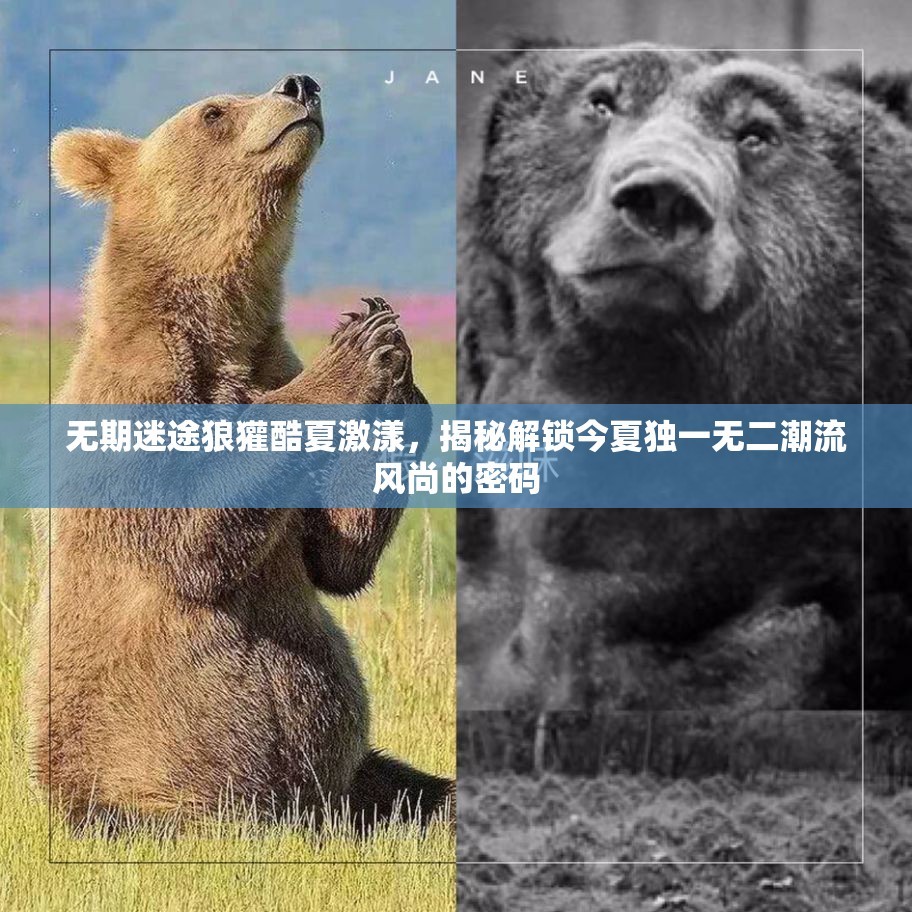 无期迷途狼獾酷夏激漾，揭秘解锁今夏独一无二潮流风尚的密码