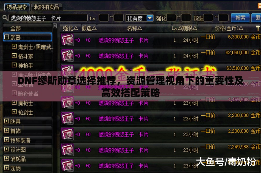 DNF缪斯勋章选择推荐，资源管理视角下的重要性及高效搭配策略