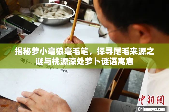 揭秘萝小毫狼毫毛笔，探寻尾毛来源之谜与桃源深处萝卜谜语寓意