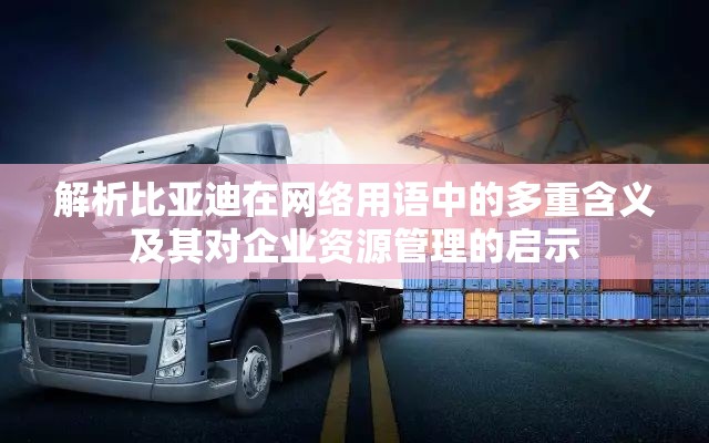 解析比亚迪在网络用语中的多重含义及其对企业资源管理的启示
