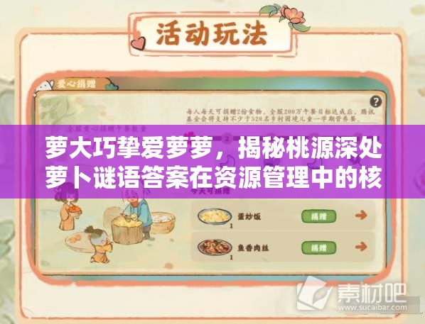 萝大巧挚爱萝萝，揭秘桃源深处萝卜谜语答案在资源管理中的核心价值与高效策略