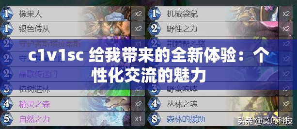 c1v1sc 给我带来的全新体验：个性化交流的魅力