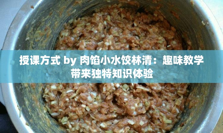 授课方式 by 肉馅小水饺林清：趣味教学带来独特知识体验