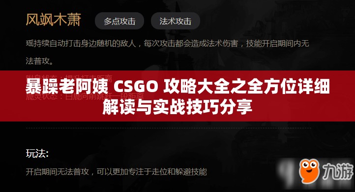 暴躁老阿姨 CSGO 攻略大全之全方位详细解读与实战技巧分享