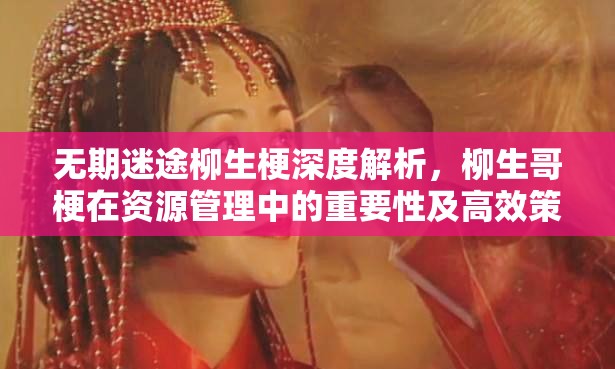 无期迷途柳生梗深度解析，柳生哥梗在资源管理中的重要性及高效策略应用