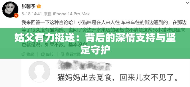 姑父有力挺送：背后的深情支持与坚定守护