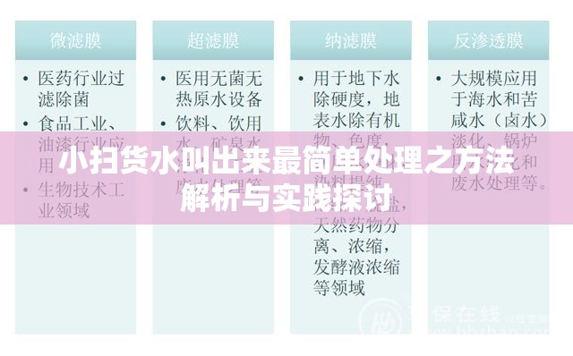 小扫货水叫出来最简单处理之方法解析与实践探讨