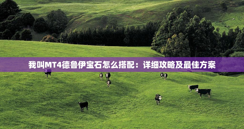 我叫MT4德鲁伊宝石怎么搭配：详细攻略及最佳方案