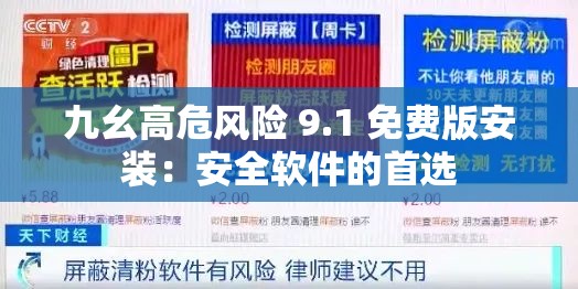 九幺高危风险 9.1 免费版安装：安全软件的首选