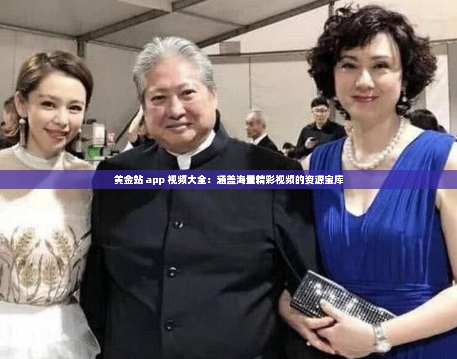 黄金站 app 视频大全：涵盖海量精彩视频的资源宝库