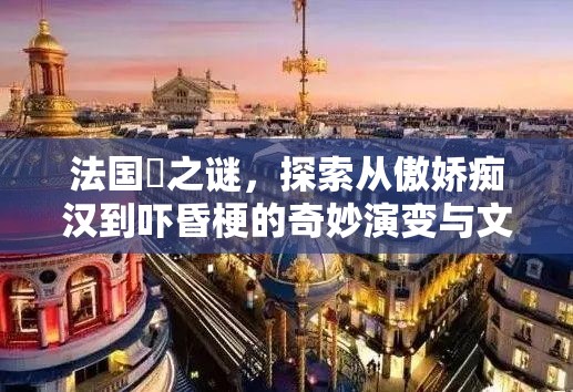 法国姛之谜，探索从傲娇痴汉到吓昏梗的奇妙演变与文化之旅