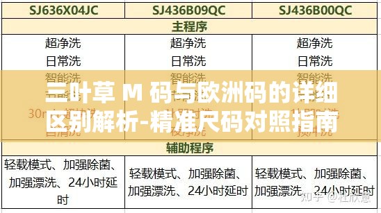 三叶草 M 码与欧洲码的详细区别解析-精准尺码对照指南
