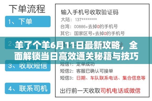 羊了个羊6月11日最新攻略，全面解锁当日高效通关秘籍与技巧