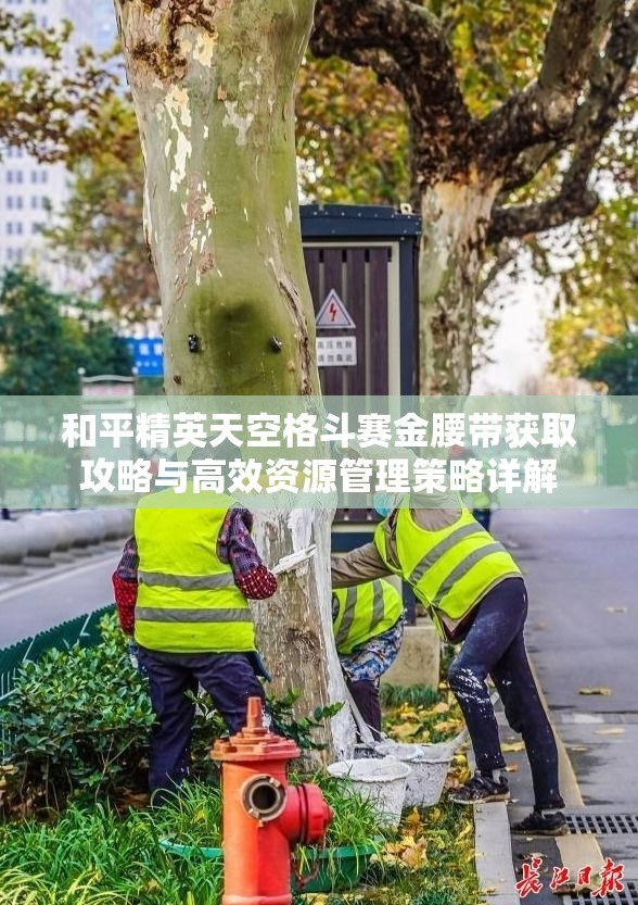 和平精英天空格斗赛金腰带获取攻略与高效资源管理策略详解