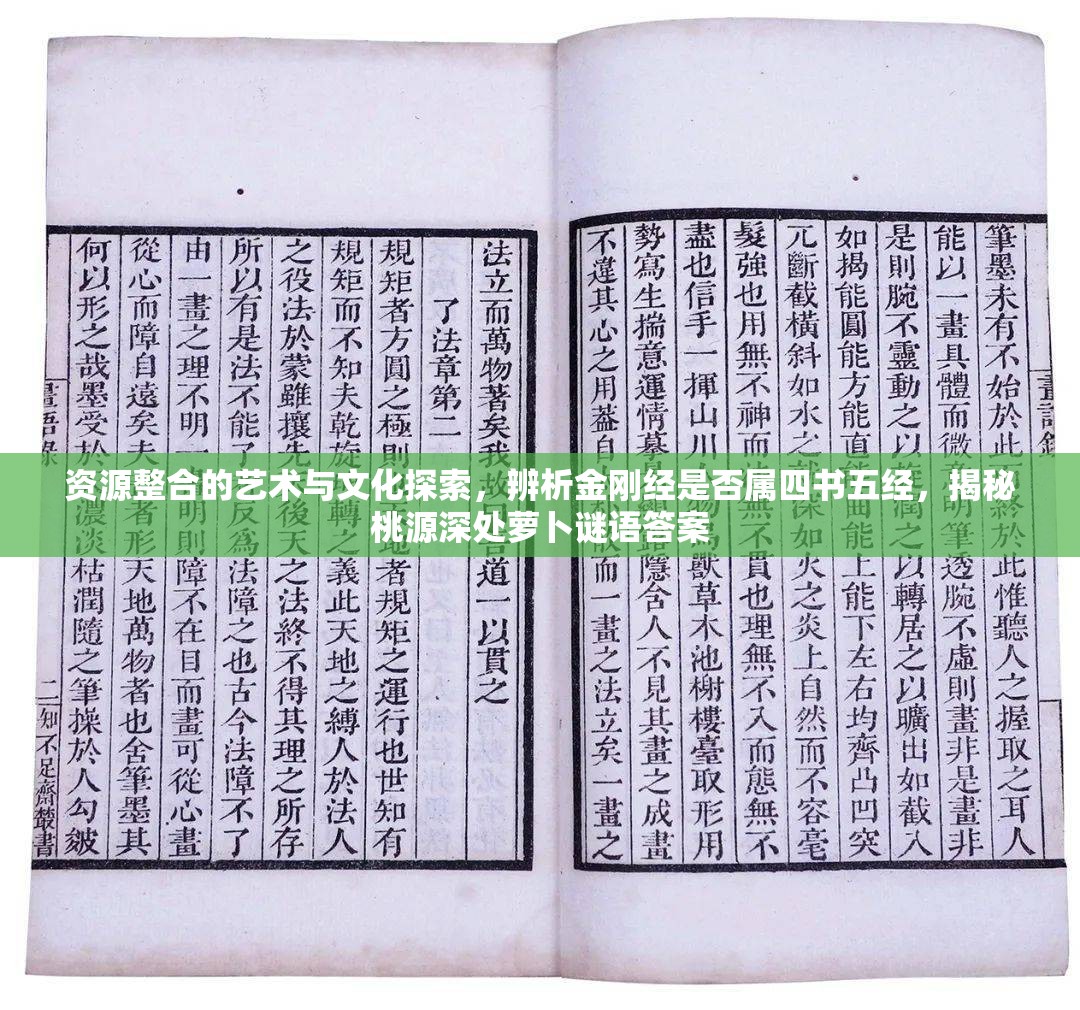 资源整合的艺术与文化探索，辨析金刚经是否属四书五经，揭秘桃源深处萝卜谜语答案