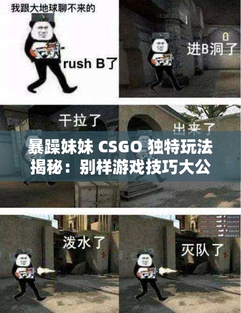 暴躁妹妹 CSGO 独特玩法揭秘：别样游戏技巧大公开