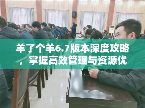 羊了个羊6.7版本深度攻略，掌握高效管理与资源优化策略，轻松通关秘籍