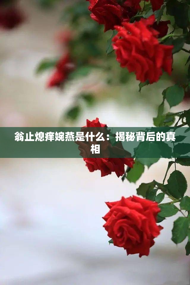 翁止熄痒婉燕是什么：揭秘背后的真相